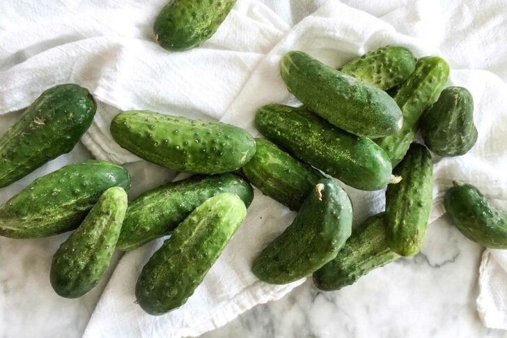 Pickling cucumbers foodiecrush.com